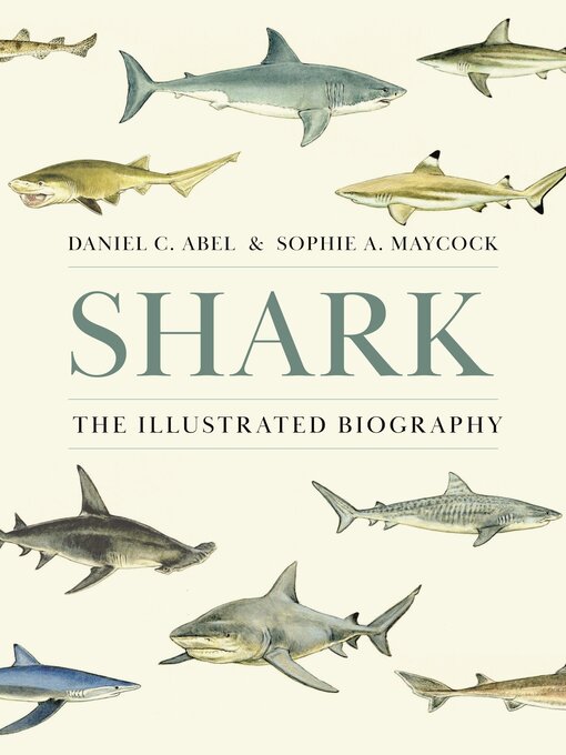 Title details for Shark by Daniel Abel - Available